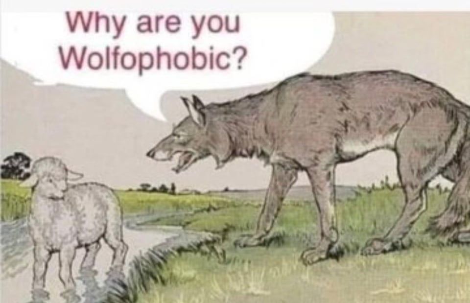 Islamophobia is equal to Wolfophobia